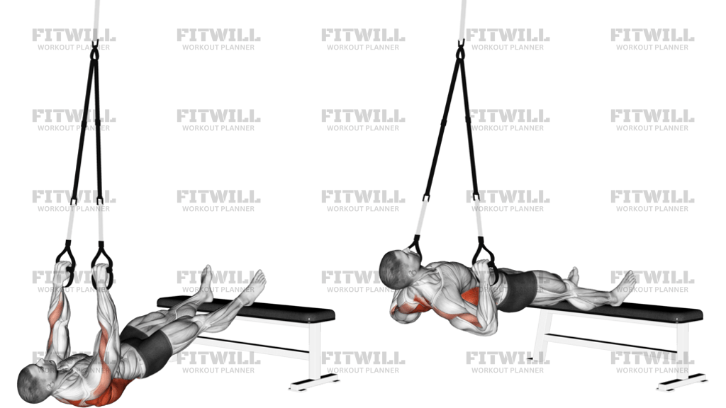 Suspender Wide-Grip Inverted Row