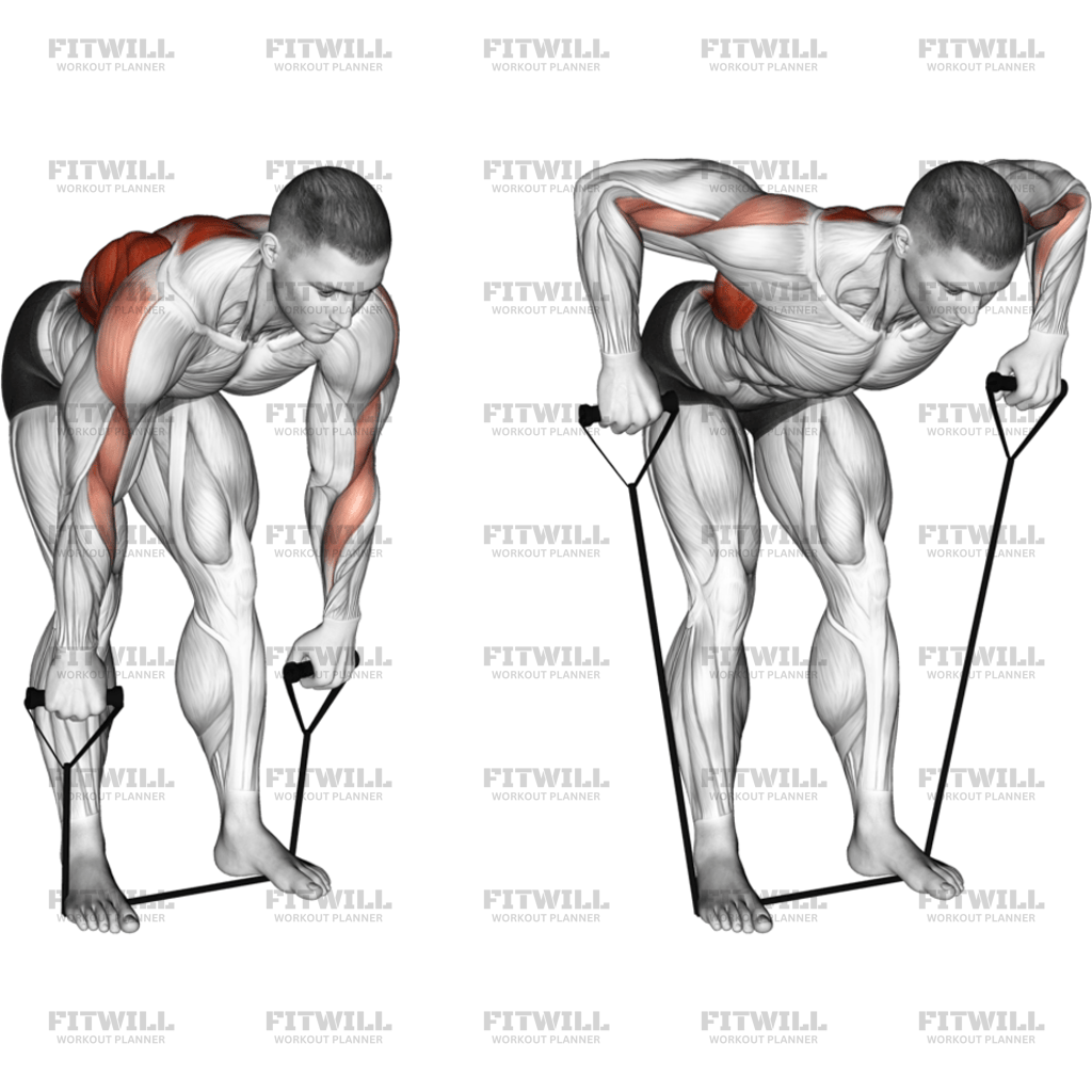 Band Bent-Over Wide-Grip Row: Exercise Guide, Techniques, Benefits, How ...