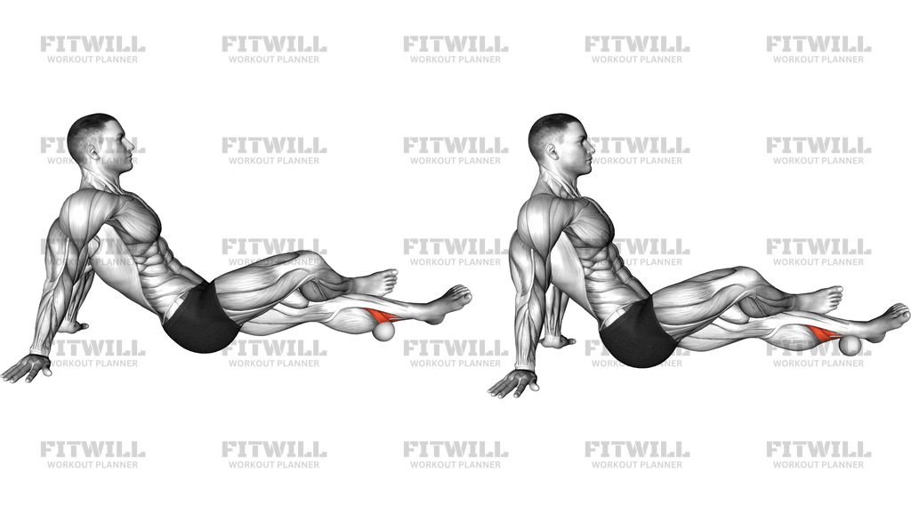 Roll Ball Tibialis Posterior