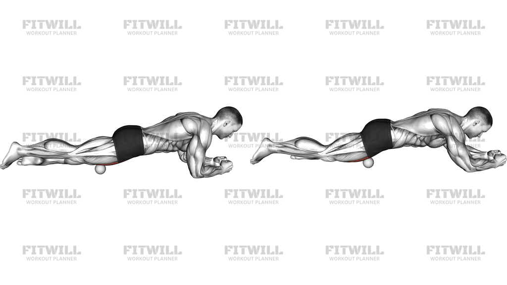 Roll Ball Rectus Femoris