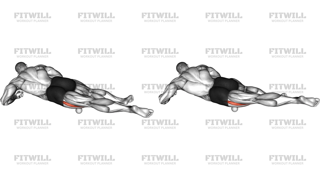 Roll Ball Lateral Vastus