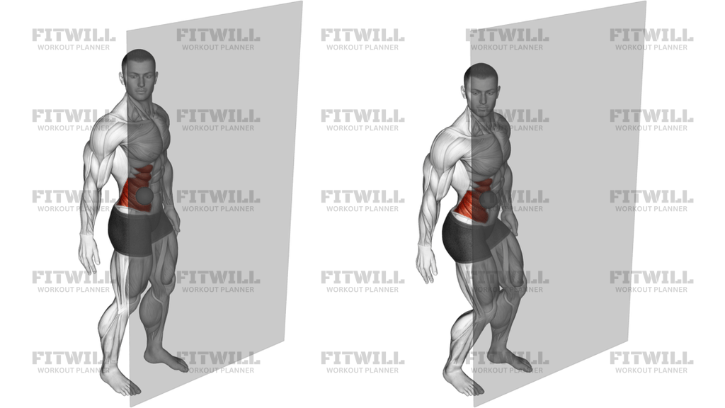 Roll Ball External Oblique