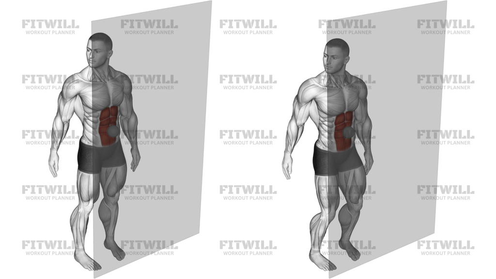 Roll Ball Rectus Abdominis