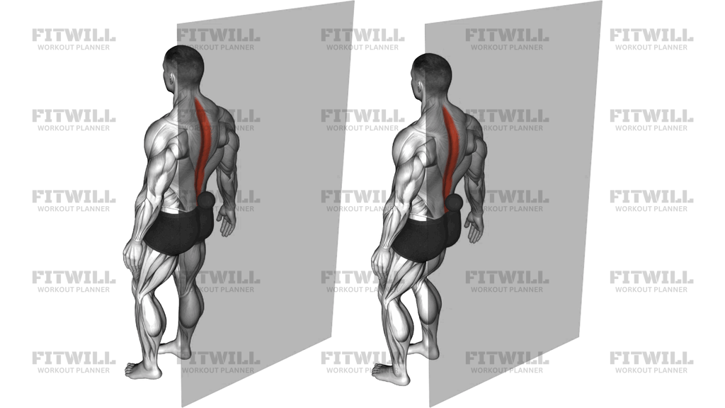 Roll Ball Erector Spinae