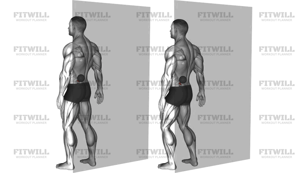 Roll Ball Lumbar Diagonal