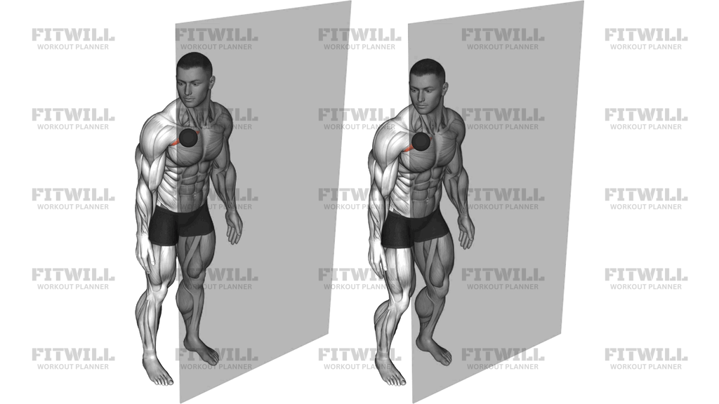 Roll Ball Pectoralis Major Clavicular