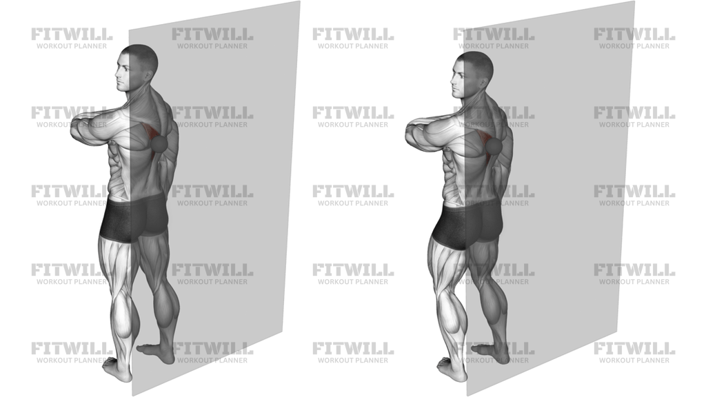 Roll Ball Trapezius Lower Version 2
