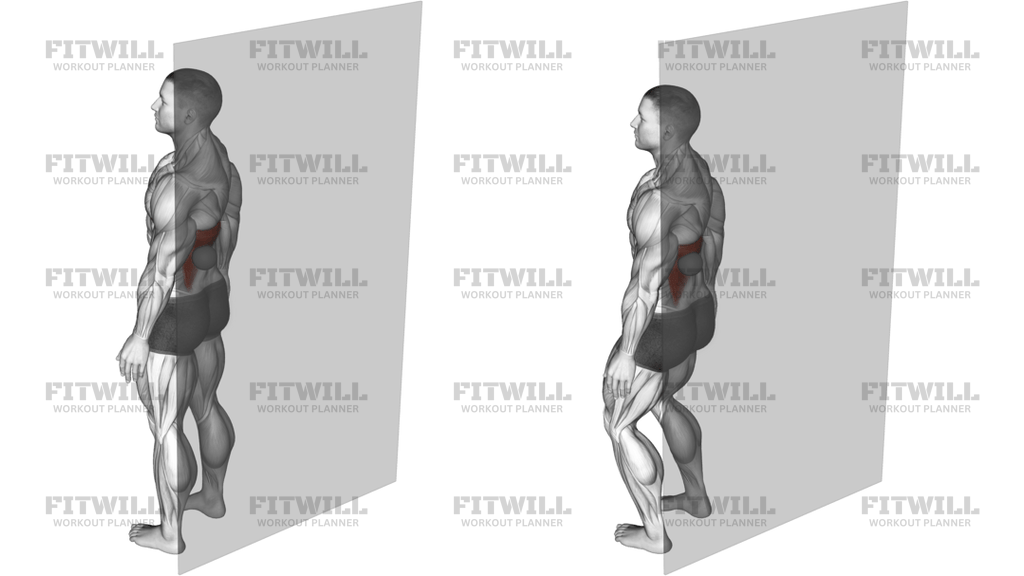 Roll Ball Latissimus Dorsi
