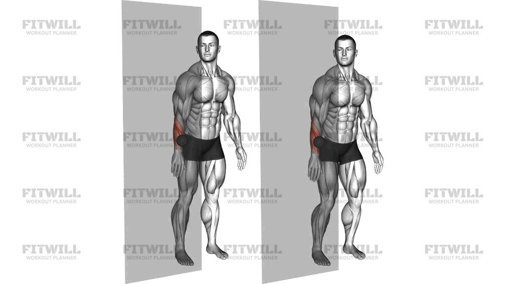 Roll Ball Forearm Extensors