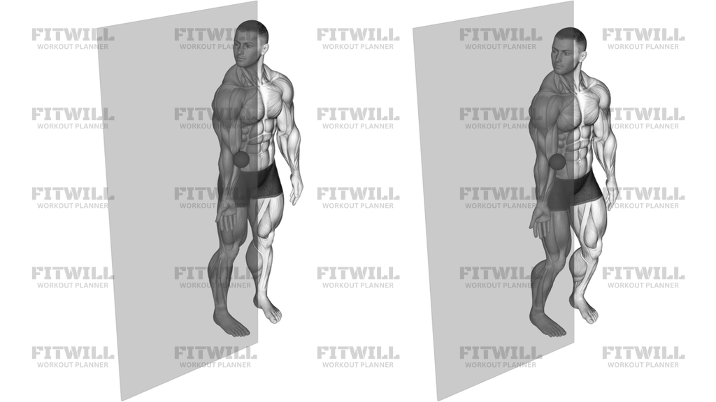 Roll Ball Forearm Pronator