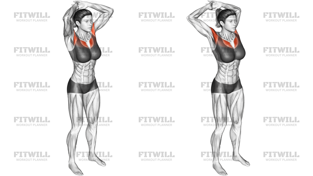 Above Head Chest Stretch
