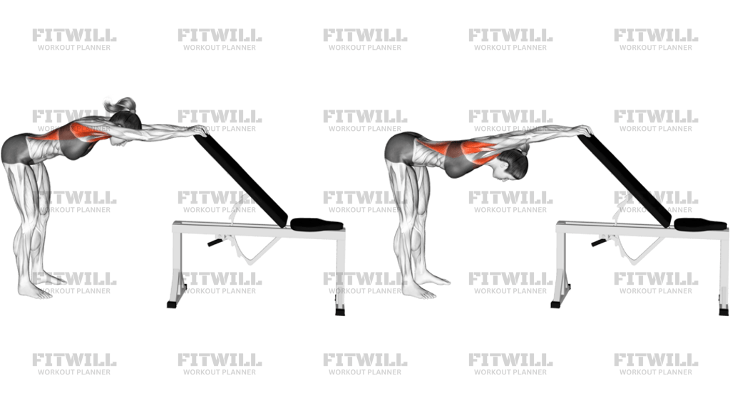 Back Pec Stretch