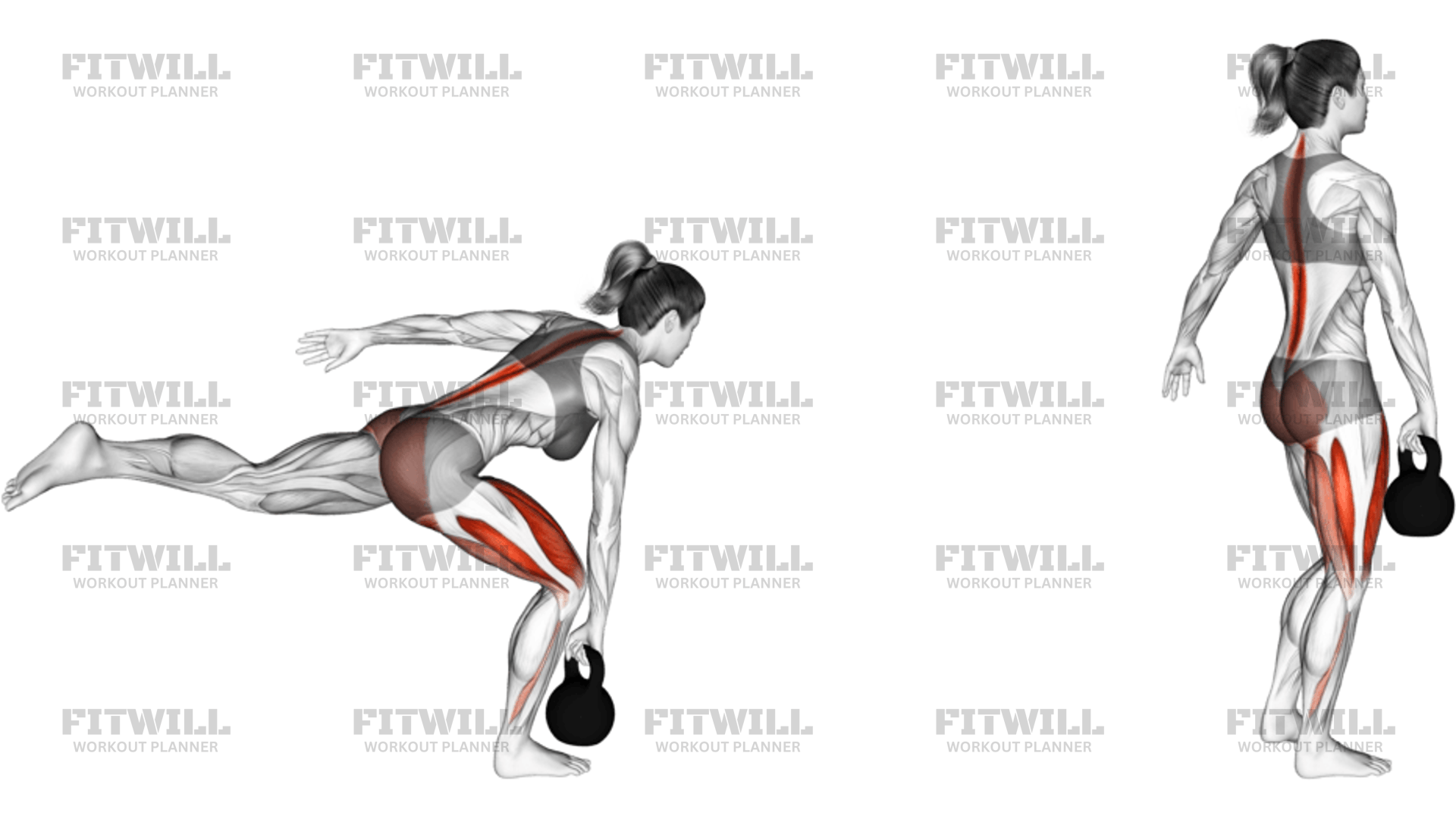 Kettlebell Single Leg Deadlift: Exercise Guide, Techniques, Benefits ...