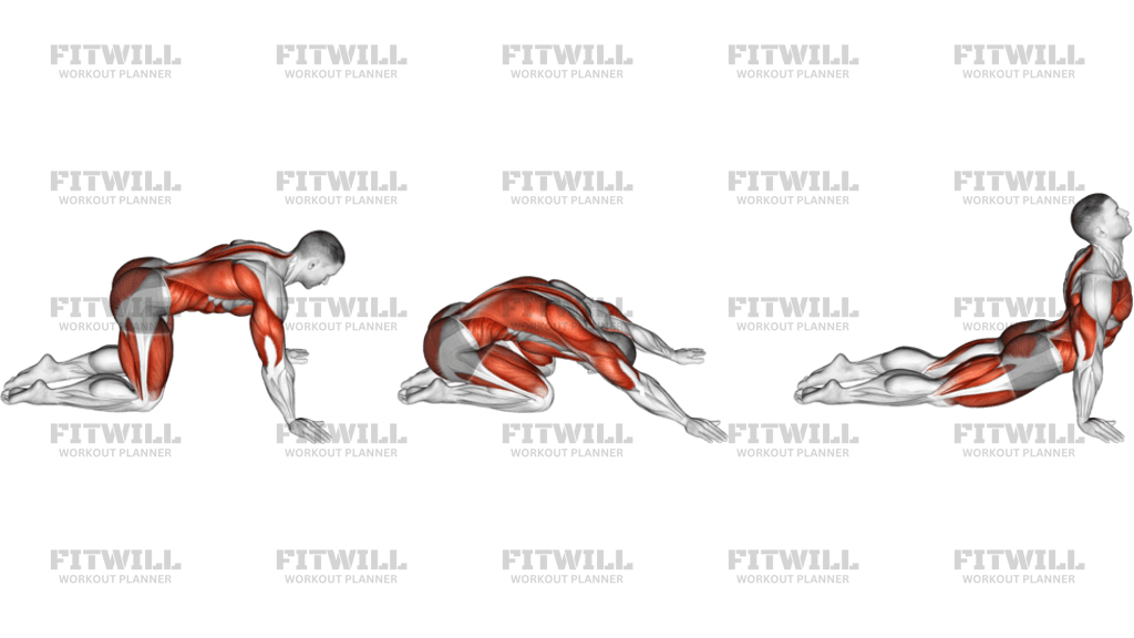 Child To Cobra Pose