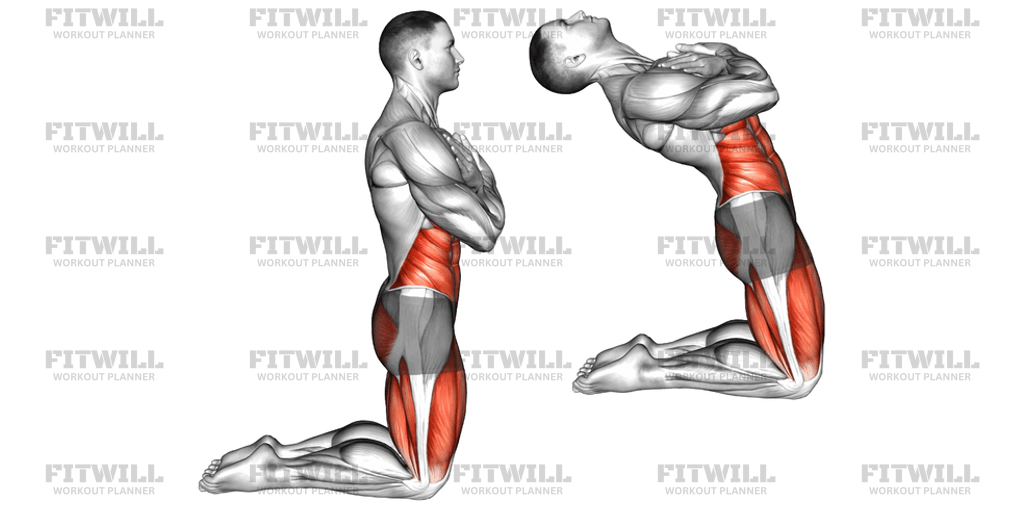 Body Extension: Exercise Guide, Techniques, Benefits, How to, Muscles ...