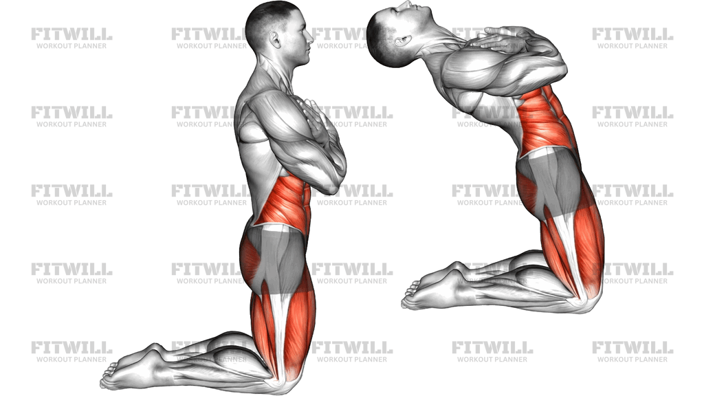 Body Extension