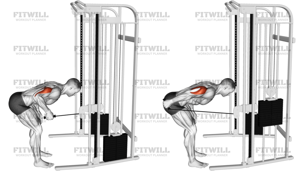 Cable Neutral Grip Kickback
