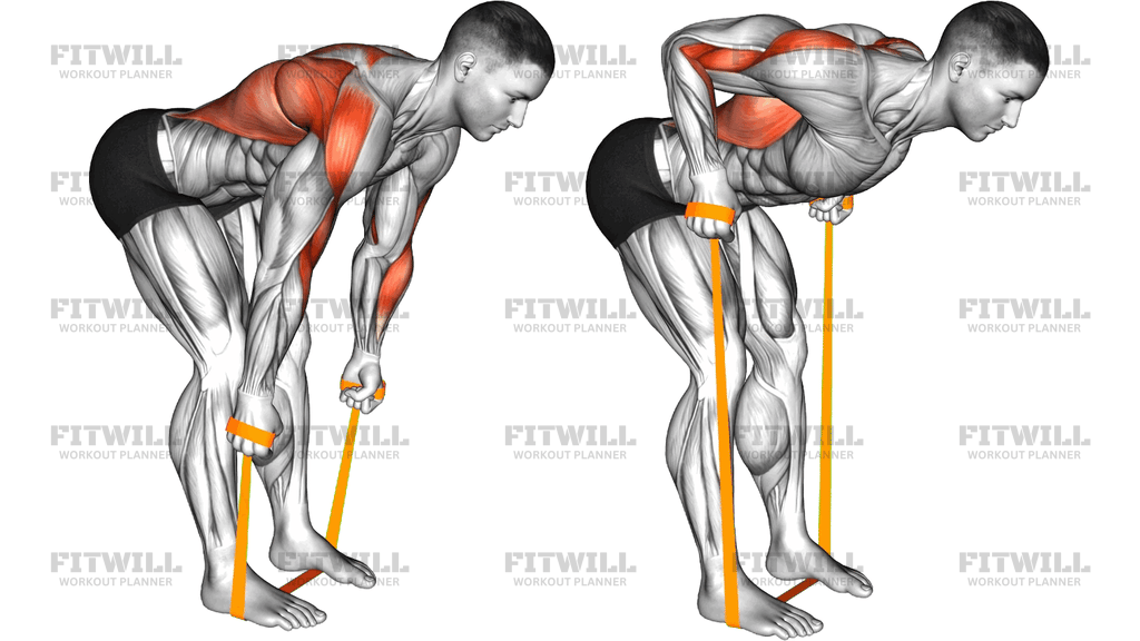 Resistance Band Bent-Over Neutral Grip Row