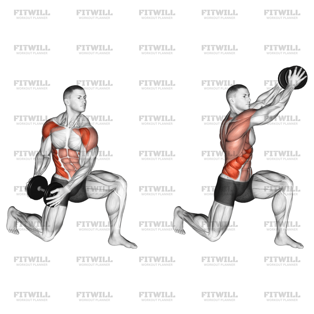 Dumbbell Half Kneeling Lift And Chop Exercise Guide Techniques Benefits How To Muscles 9399