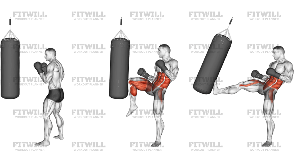 Front Groin Kick Kickboxing With Boxing Bag