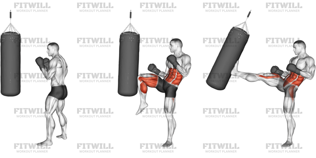 Front Snap Kick Kickboxing With Boxing Bag: Exercise Guide, Techniques ...