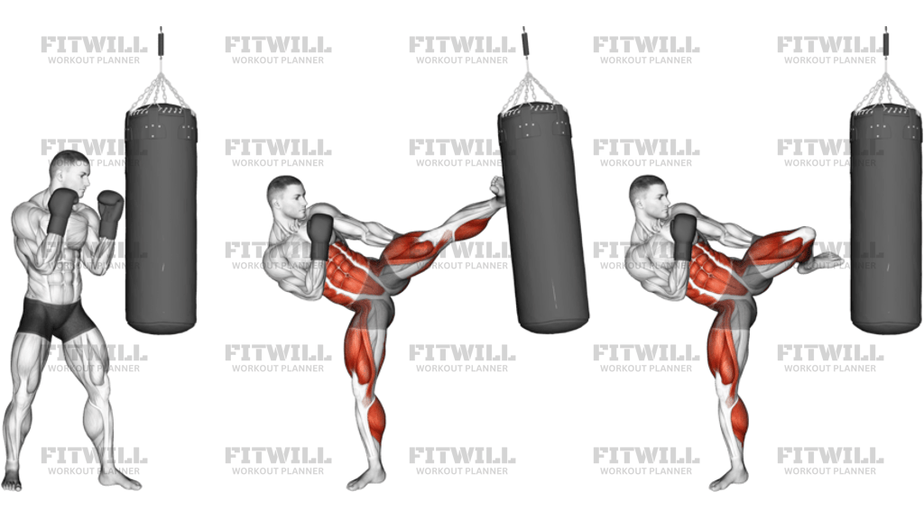 Hook Kick Kickboxing With Boxing Bag