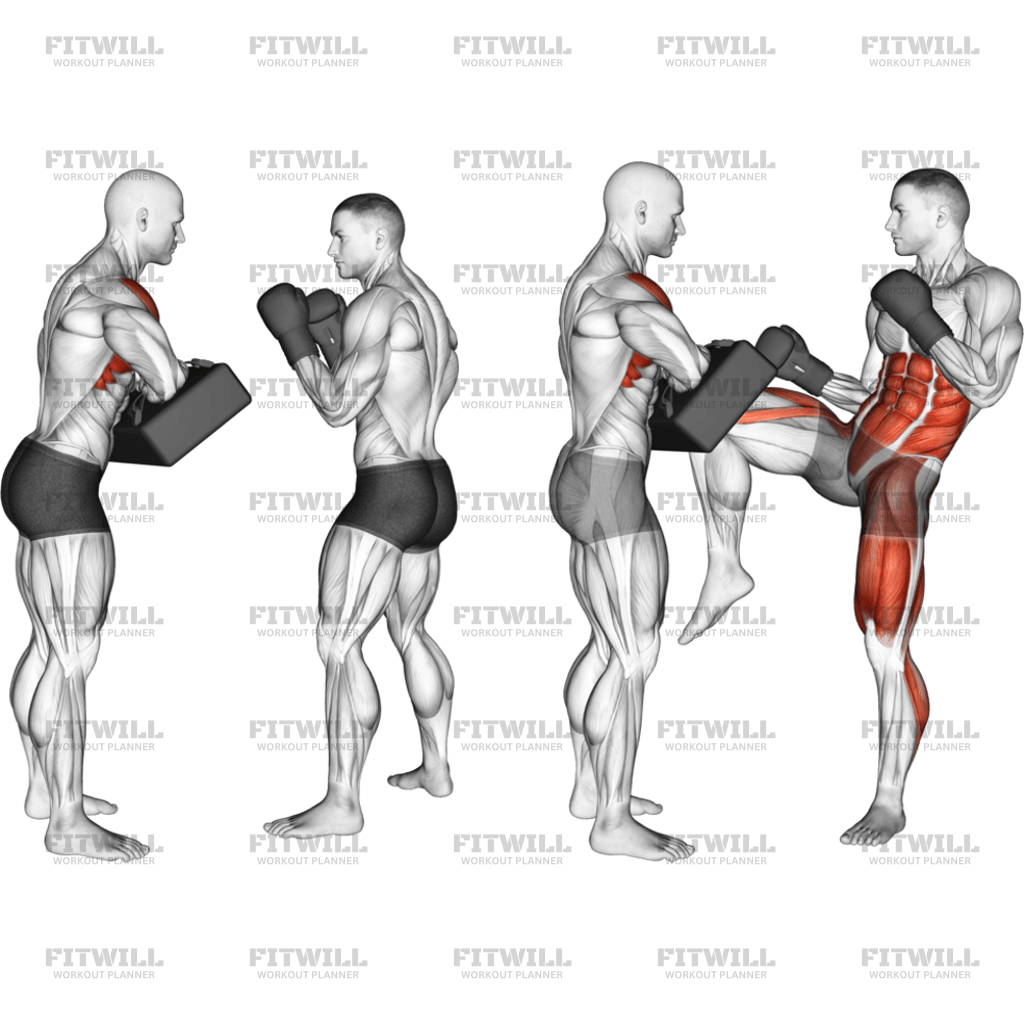 Front Knee Kick Kickboxing With Partner: Exercise Guide, Techniques ...