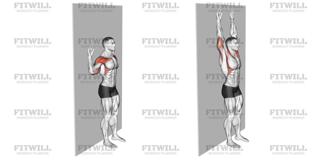 Bodyweight Standing Military Press Wall Supported: Exercise Guide ...