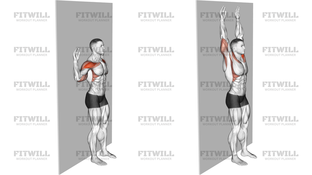 Bodyweight Standing Military Press Wall Supported