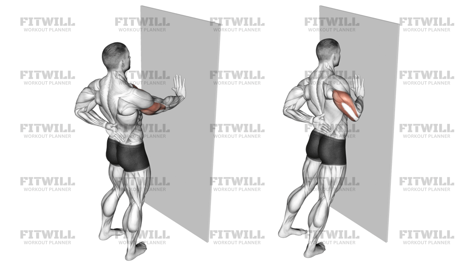 Single Arm Push Up Supported Wall: Exercise Video | Fitwill