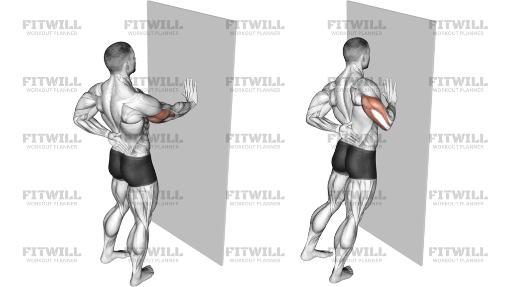 Single-Arm Push-Up Supported Wall