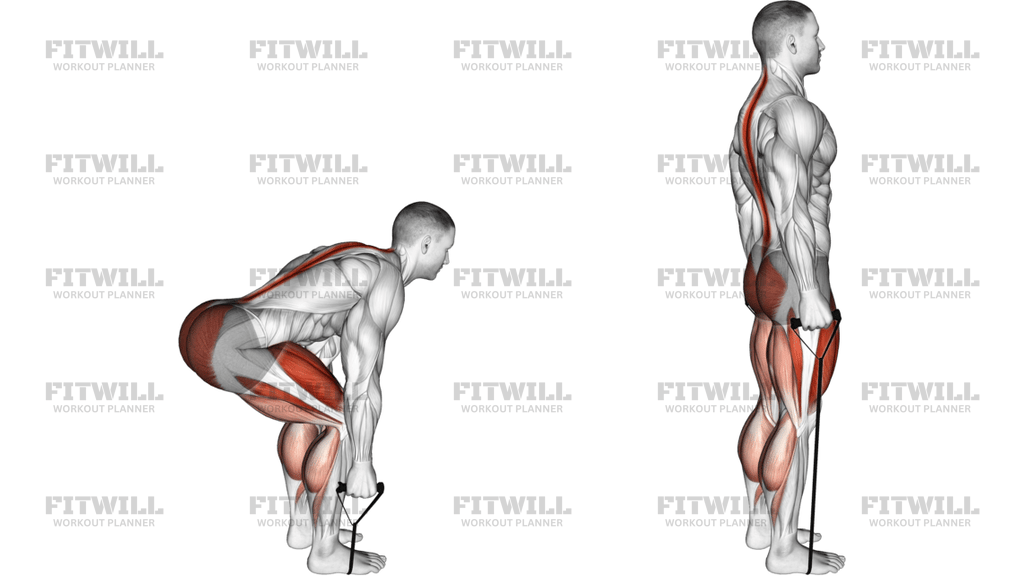Band Deadlift