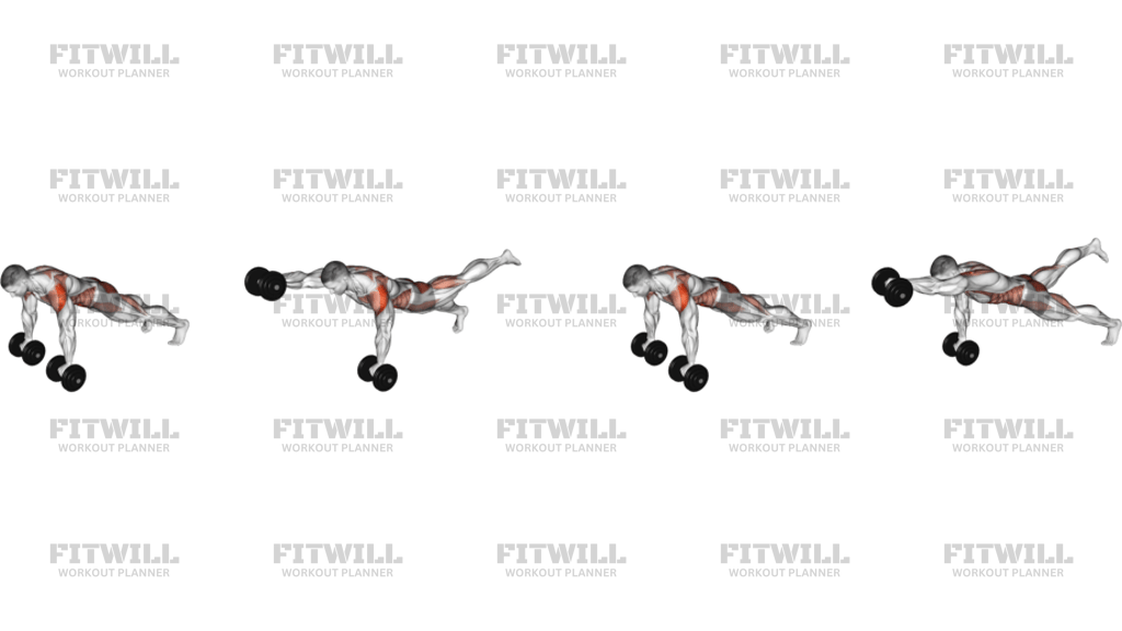 Dumbbell Front Plank Arm Leg Raise
