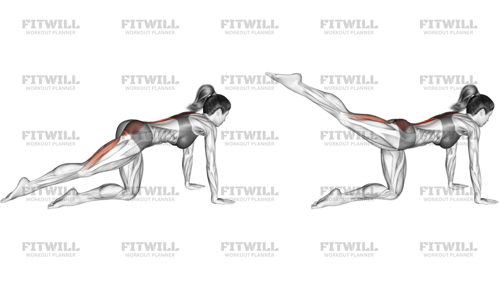 Kneeling Pulse