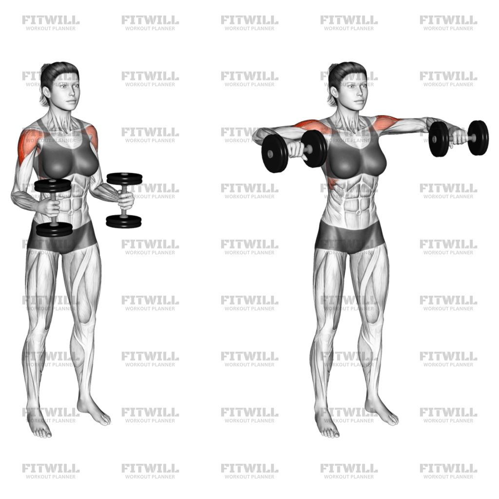 Élévation Latérale Avec Haltères Et Bras Pliés : Guide d'exercice ...