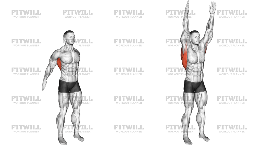 Dynamic Back Stretch