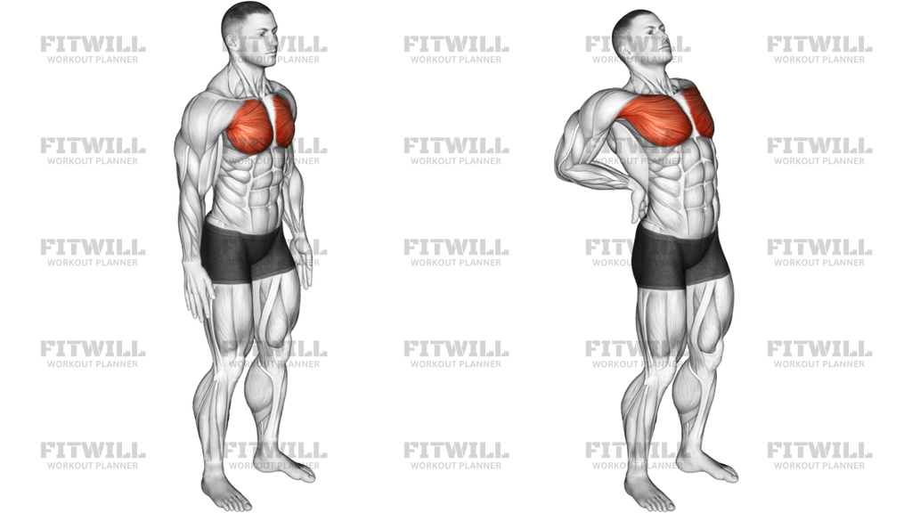 Elbows Back Stretch