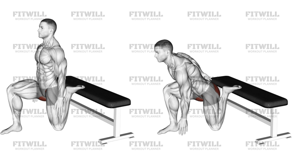 Hip Flexor Stretch Rear Foot Elevated