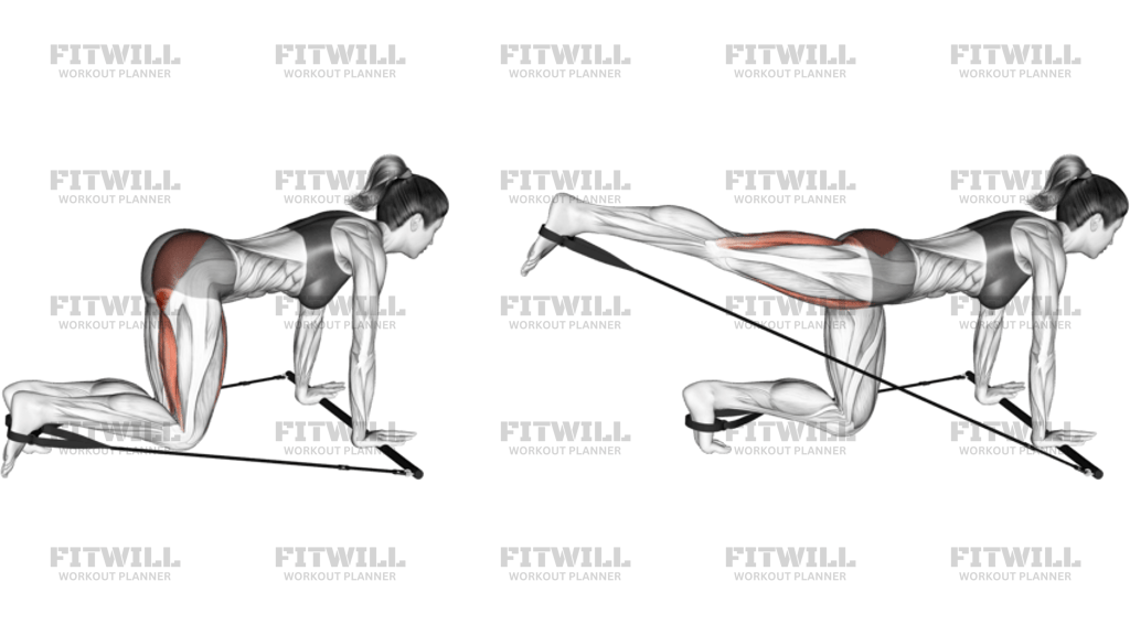 Bar Band Kneeling Single Leg Kick