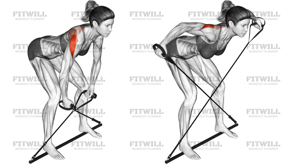 Bar Band Bent-Over Rear Delt Fly
