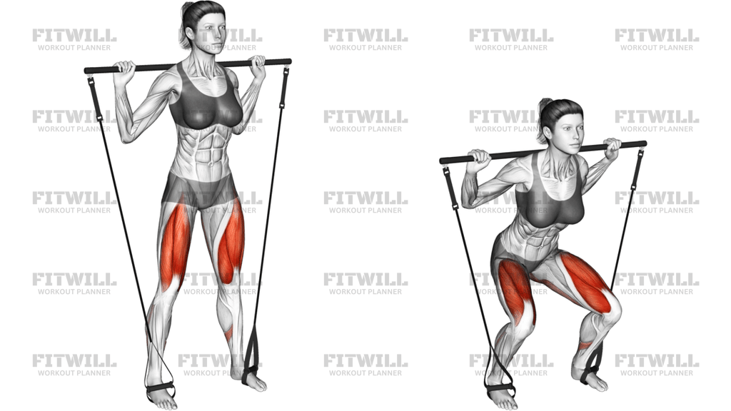 Bar Band Squat