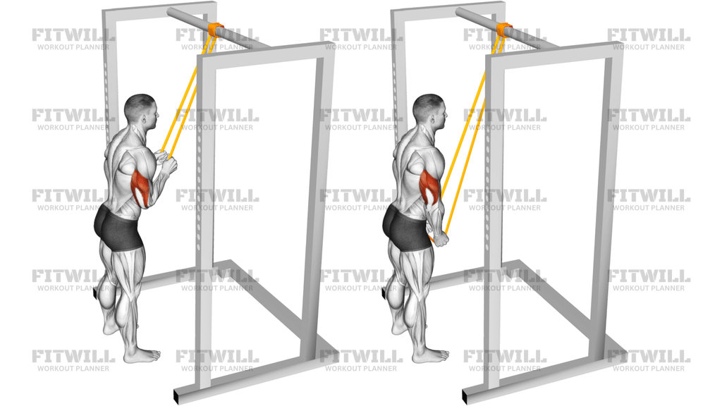 Resistance Band Triceps Pushdown