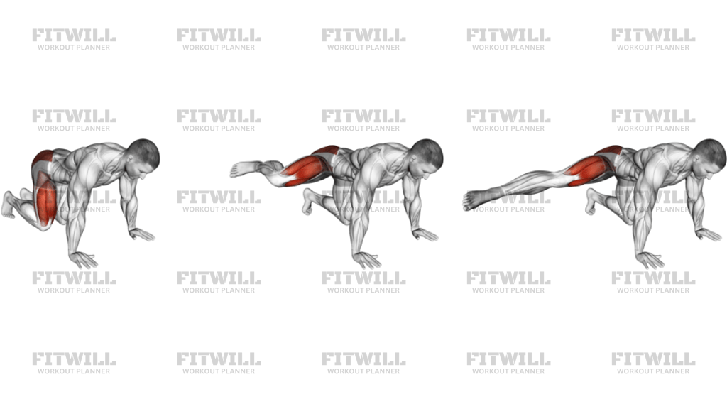 Kneeling Side Leg To Kick