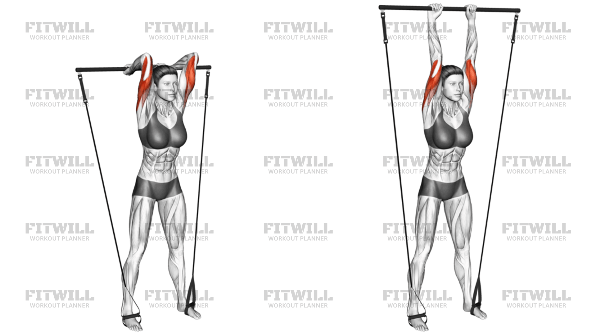 Bar Band Overhead Triceps Extension: Exercise Guide, Techniques ...