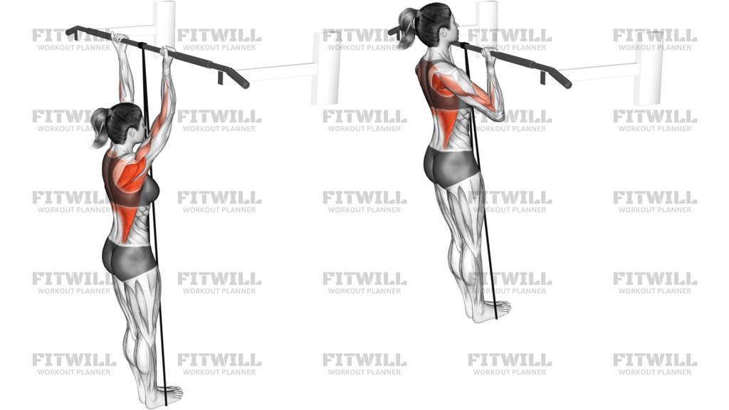 Band Assisted Chin-Up