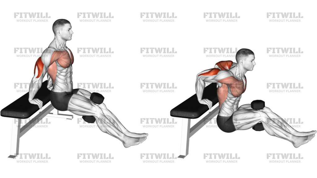 Dumbbell Bench Dip