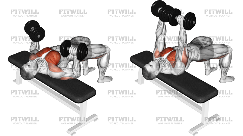Dumbbell Bridge Bench Press
