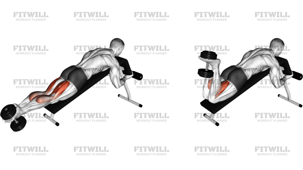 Dumbbell Decline Lying Leg Curl