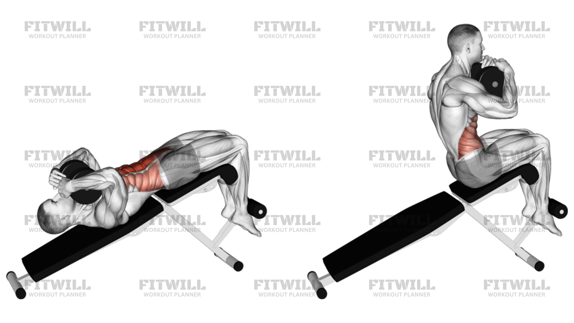 Dumbbell Decline Sit-up: Exercise Guide, Video, Techniques, Benefits ...