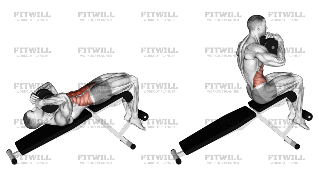 Dumbbell Decline Sit up Exercise Guide Video Techniques Benefits How to Muscles Worked Tips Tricks Fitwill